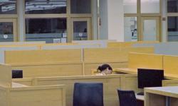 Featured image of post The Staffing Industry Crisis: Why Agency Recruiting Is Harder Than Ever